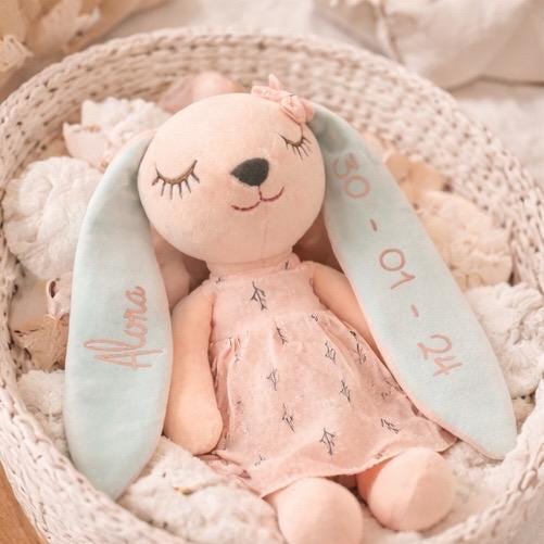 Personalised Bunny Teddy