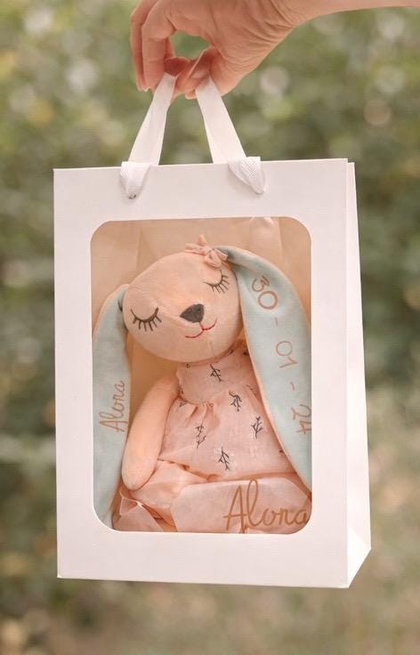 Personalised Bunny Teddy
